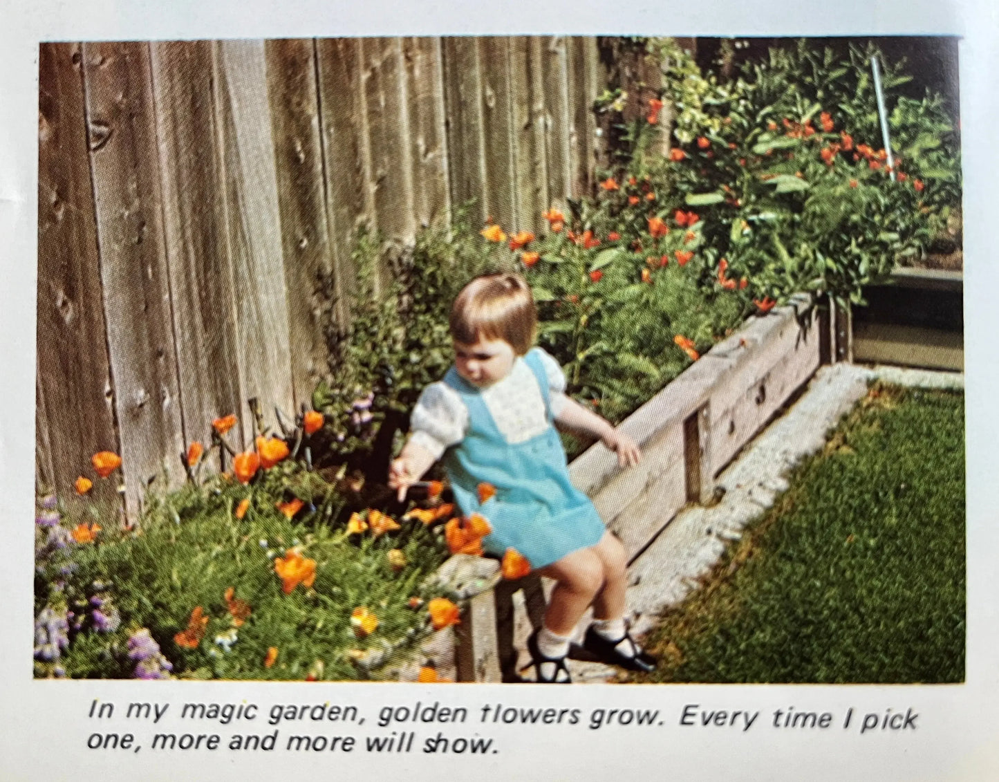 A Lifetime of Seeds