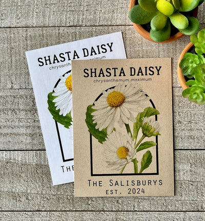 Shasta Daisy - Vintage Seed Catalog Packets